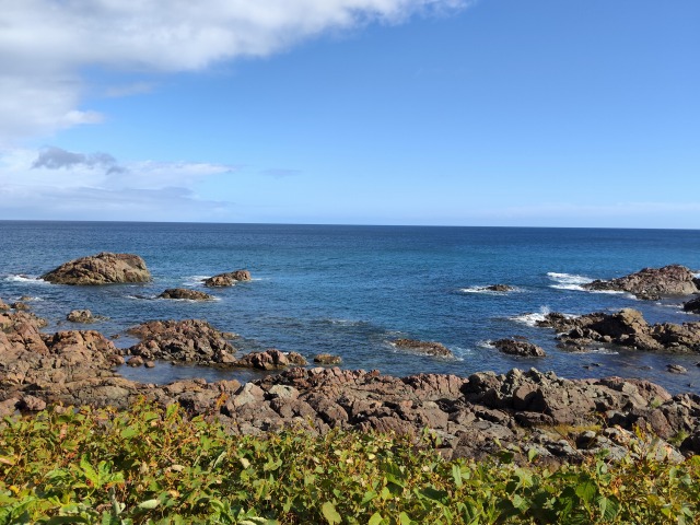 IMG_20260929_090808.jpg