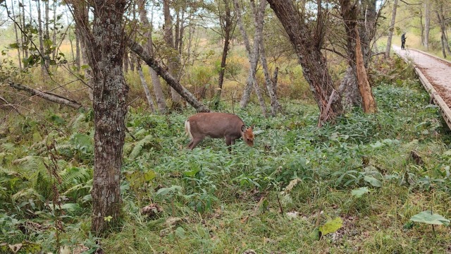 IMG_20261002_104429.jpg