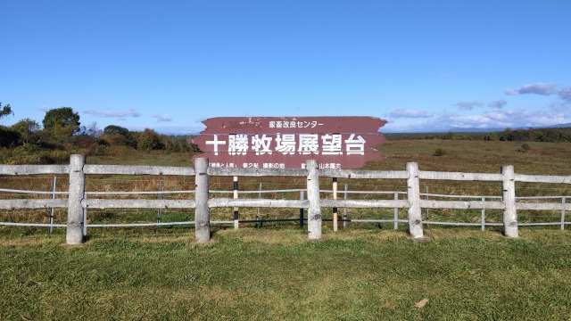 IMG_20261003_073732.jpg
