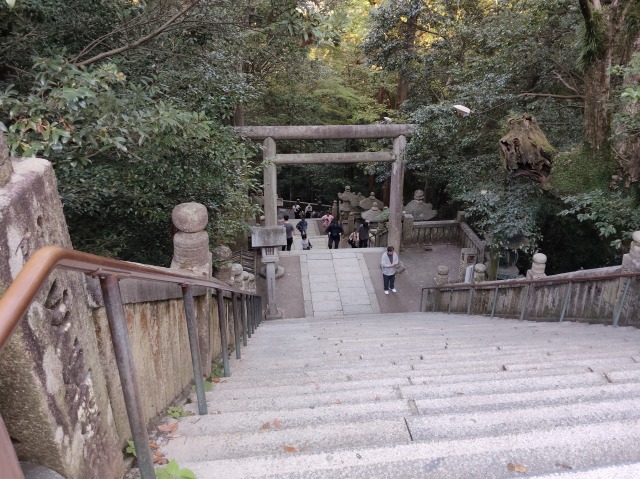 MVIMG_20261017_145810.jpg